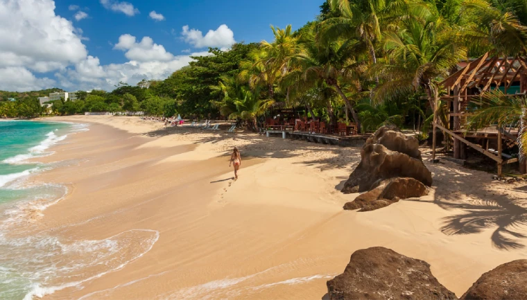 Grenada, wyspa, plaża i palmy